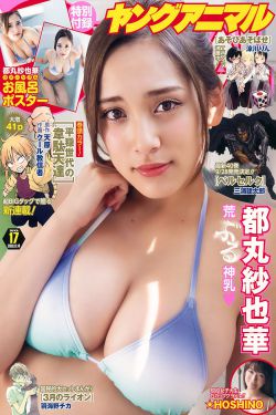 总裁旧爱新欢